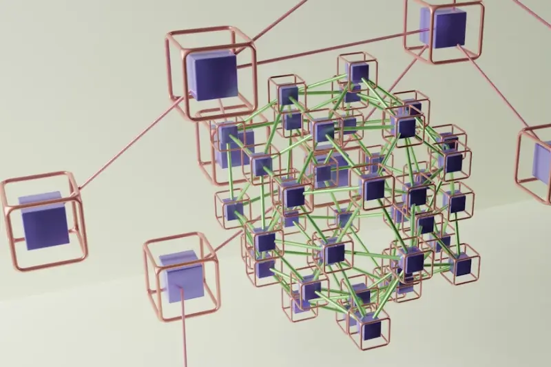 what are software and networking